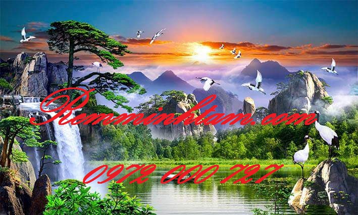 Giấy-dán-tương-03