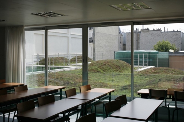 Rèm cửa trường học, Rèm cửa trường học